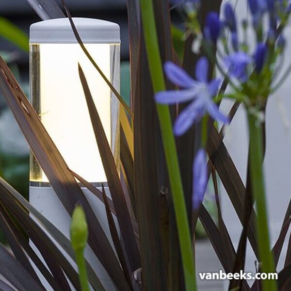 in-lite LIV Low 12v Preview